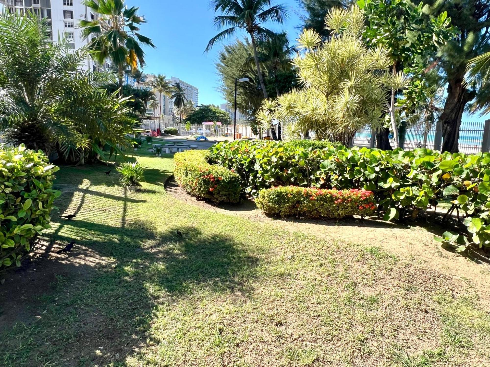 Ocean View Apt On Isla Verde In A 14Th Floor San Juan Eksteriør billede